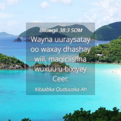 Picture 04 - Bilowgii 38:3 SOM - Wayna uuraysatay oo waxay dhashay wiil, - Bible Verse Picture
