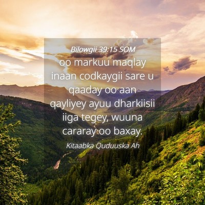 Picture 04 - Bilowgii 39:15 SOM - oo markuu maqlay inaan codkaygii sare u qaaday oo - Bible Verse Picture