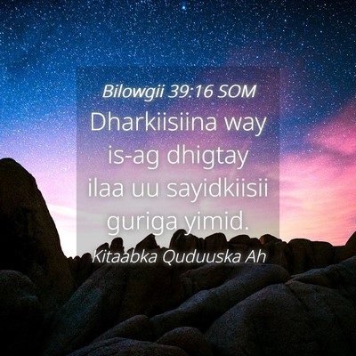 Picture 04 - Bilowgii 39:16 SOM - Dharkiisiina way is-ag dhigtay ilaa uu - Bible Verse Picture