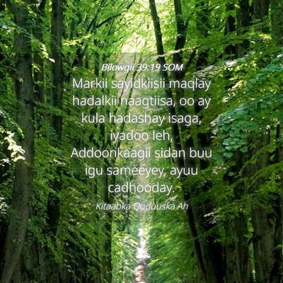 Picture 04 - Bilowgii 39:19 SOM - Markii sayidkiisii maqlay hadalkii naagtiisa, oo - Bible Verse Picture