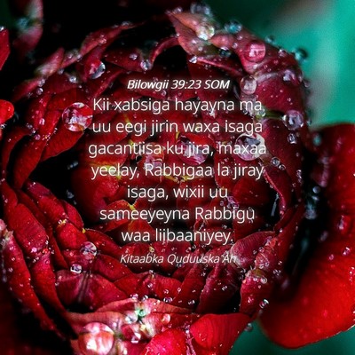 Picture 04 - Bilowgii 39:23 SOM - Kii xabsiga hayayna ma uu eegi jirin waxa isaga - Bible Verse Picture