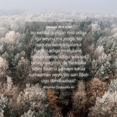 Picture 04 - Bilowgii 39:9 SOM - oo weliba gurigan mid aniga iga weynu ma joogo, - Bible Verse Picture