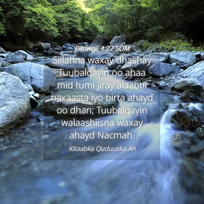 Picture 04 - Bilowgii 4:22 SOM - Sillahna waxay dhashay Tuubalqayin oo ahaa mid - Bible Verse Picture