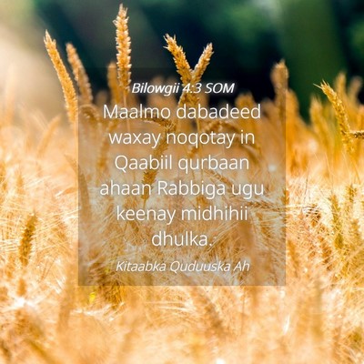 Picture 04 - Bilowgii 4:3 SOM - Maalmo dabadeed waxay noqotay in Qaabiil qurbaan - Bible Verse Picture