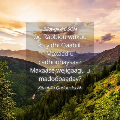 Picture 04 - Bilowgii 4:6 SOM - Oo Rabbigu wuxuu ku yidhi Qaabiil, Maxaad u - Bible Verse Picture