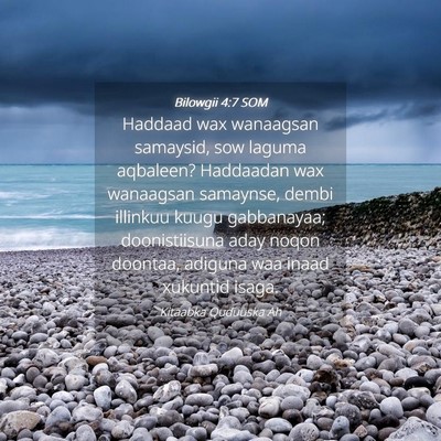 Picture 04 - Bilowgii 4:7 SOM - Haddaad wax wanaagsan samaysid, sow laguma - Bible Verse Picture