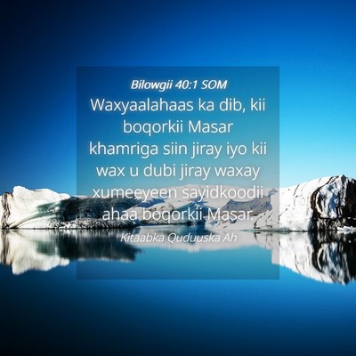 Picture 04 - Bilowgii 40:1 SOM - Waxyaalahaas ka dib, kii boqorkii Masar khamriga - Bible Verse Picture