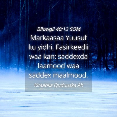 Picture 04 - Bilowgii 40:12 SOM - Markaasaa Yuusuf ku yidhi, Fasirkeedii waa kan: - Bible Verse Picture