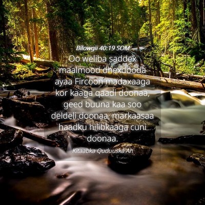 Picture 04 - Bilowgii 40:19 SOM - Oo weliba saddex maalmood dhexdooda ayaa Fircoon - Bible Verse Picture