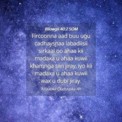 Picture 04 - Bilowgii 40:2 SOM - Fircoonna aad buu ugu cadhaysnaa labadiisii - Bible Verse Picture