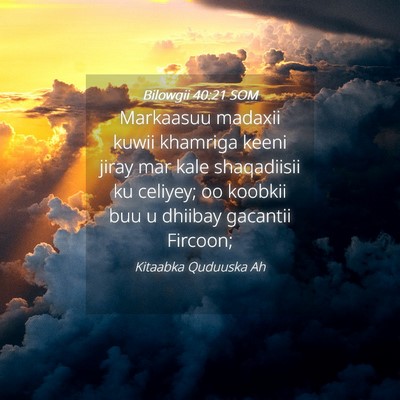 Picture 04 - Bilowgii 40:21 SOM - Markaasuu madaxii kuwii khamriga keeni jiray mar - Bible Verse Picture