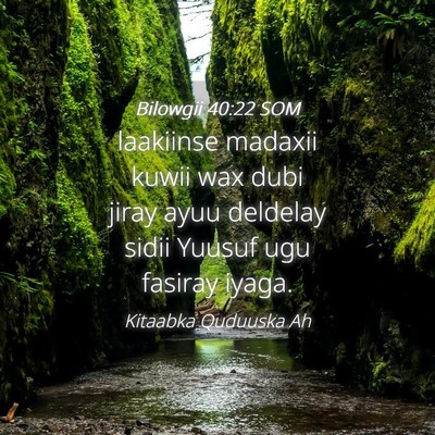 Picture 04 - Bilowgii 40:22 SOM - laakiinse madaxii kuwii wax dubi jiray ayuu - Bible Verse Picture