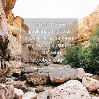 Picture 04 - Bilowgii 40:23 SOM - Laakiinse madaxii kuwii khamriga keeni jiray ma - Bible Verse Picture