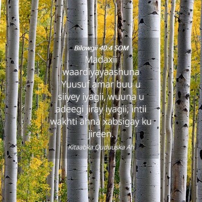 Picture 04 - Bilowgii 40:4 SOM - Madaxii waardiyayaashuna Yuusuf amar buu u siiyey - Bible Verse Picture