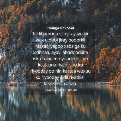 Picture 04 - Bilowgii 40:5 SOM - Kii khamriga siin jiray iyo kii wax u dubi jiray - Bible Verse Picture