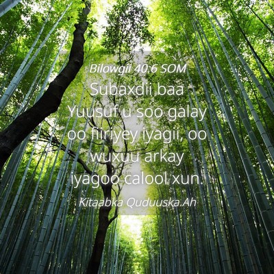 Picture 04 - Bilowgii 40:6 SOM - Subaxdii baa Yuusuf u soo galay oo fiiriyey - Bible Verse Picture