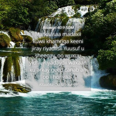Picture 04 - Bilowgii 40:9 SOM - Markaasaa madaxii kuwii khamriga keeni jiray - Bible Verse Picture