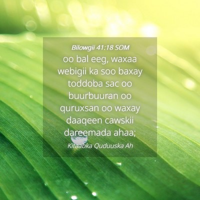 Picture 04 - Bilowgii 41:18 SOM - oo bal eeg, waxaa webigii ka soo baxay toddoba - Bible Verse Picture