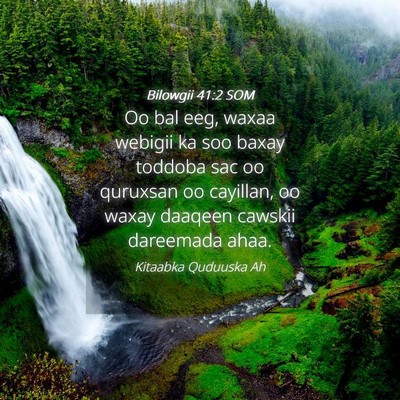 Picture 04 - Bilowgii 41:2 SOM - Oo bal eeg, waxaa webigii ka soo baxay toddoba - Bible Verse Picture