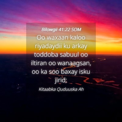 Picture 04 - Bilowgii 41:22 SOM - Oo waxaan kaloo riyadaydii ku arkay toddoba - Bible Verse Picture