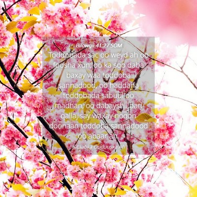 Picture 04 - Bilowgii 41:27 SOM - Toddobada sac oo weyd ah oo foosha xun, oo ka soo - Bible Verse Picture