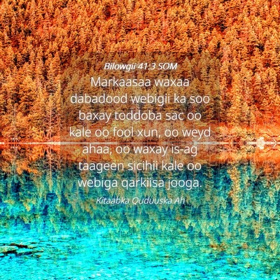 Picture 04 - Bilowgii 41:3 SOM - Markaasaa waxaa dabadood webigii ka soo baxay - Bible Verse Picture