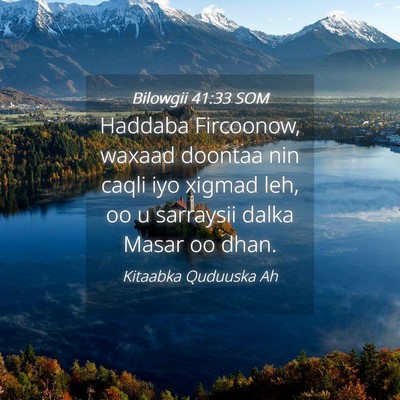 Picture 04 - Bilowgii 41:33 SOM - Haddaba Fircoonow, waxaad doontaa nin caqli iyo - Bible Verse Picture