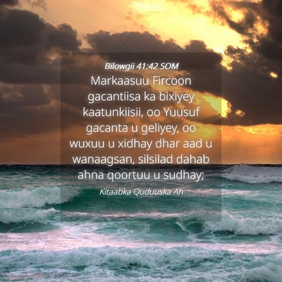 Picture 04 - Bilowgii 41:42 SOM - Markaasuu Fircoon gacantiisa ka bixiyey - Bible Verse Picture
