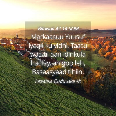 Picture 04 - Bilowgii 42:14 SOM - Markaasuu Yuusuf iyagii ku yidhi, Taasu waa tii - Bible Verse Picture