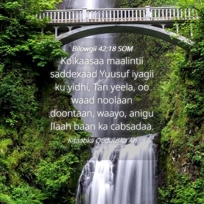 Picture 04 - Bilowgii 42:18 SOM - Kolkaasaa maalintii saddexaad Yuusuf iyagii ku - Bible Verse Picture