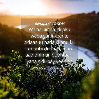 Picture 04 - Bilowgii 42:20 SOM - Walaalkiinna idiinku wada yar ii keena; sidaasuu - Bible Verse Picture