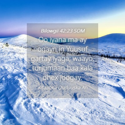 Picture 04 - Bilowgii 42:23 SOM - Oo iyana ma ay ogayn in Yuusuf gartay iyaga; - Bible Verse Picture
