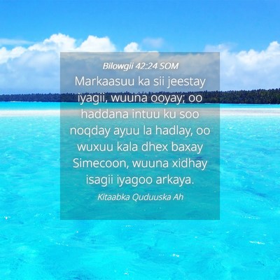 Picture 04 - Bilowgii 42:24 SOM - Markaasuu ka sii jeestay iyagii, wuuna ooyay; oo - Bible Verse Picture