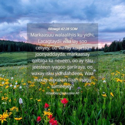Picture 04 - Bilowgii 42:28 SOM - Markaasuu walaalihiis ku yidhi, Lacagtaydii waa - Bible Verse Picture