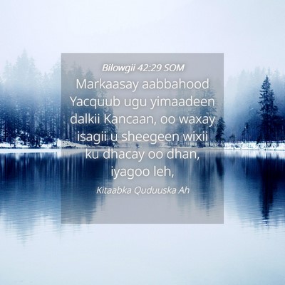 Picture 04 - Bilowgii 42:29 SOM - Markaasay aabbahood Yacquub ugu yimaadeen dalkii - Bible Verse Picture