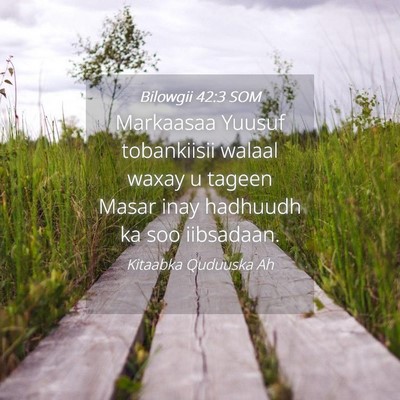 Picture 04 - Bilowgii 42:3 SOM - Markaasaa Yuusuf tobankiisii walaal waxay u - Bible Verse Picture