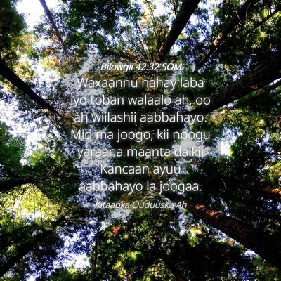 Picture 04 - Bilowgii 42:32 SOM - Waxaannu nahay laba iyo toban walaalo ah, oo ah - Bible Verse Picture