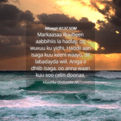 Picture 04 - Bilowgii 42:37 SOM - Markaasaa Ruubeen aabbihiis la hadlay, oo wuxuu - Bible Verse Picture