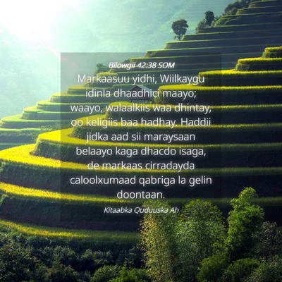 Picture 04 - Bilowgii 42:38 SOM - Markaasuu yidhi, Wiilkaygu idinla dhaadhici - Bible Verse Picture