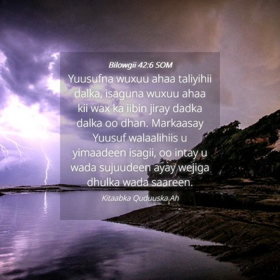 Picture 04 - Bilowgii 42:6 SOM - Yuusufna wuxuu ahaa taliyihii dalka, isaguna - Bible Verse Picture