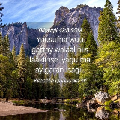 Picture 04 - Bilowgii 42:8 SOM - Yuusufna wuu gartay walaalihiis laakiinse iyagu - Bible Verse Picture