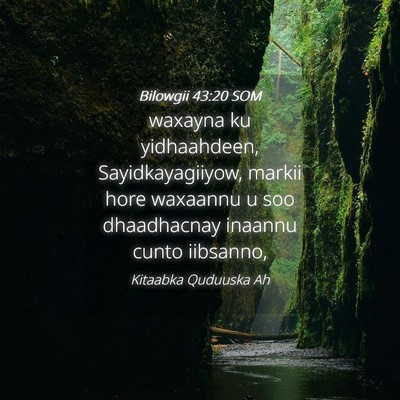 Picture 04 - Bilowgii 43:20 SOM - waxayna ku yidhaahdeen, Sayidkayagiiyow, markii - Bible Verse Picture