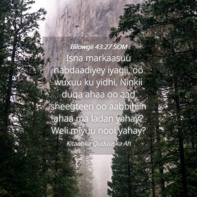 Picture 04 - Bilowgii 43:27 SOM - Isna markaasuu nabdaadiyey iyagii, oo wuxuu ku - Bible Verse Picture