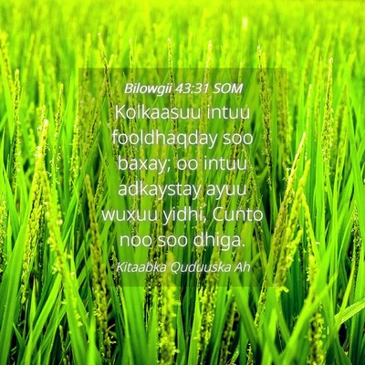 Picture 04 - Bilowgii 43:31 SOM - Kolkaasuu intuu fooldhaqday soo baxay; oo intuu - Bible Verse Picture
