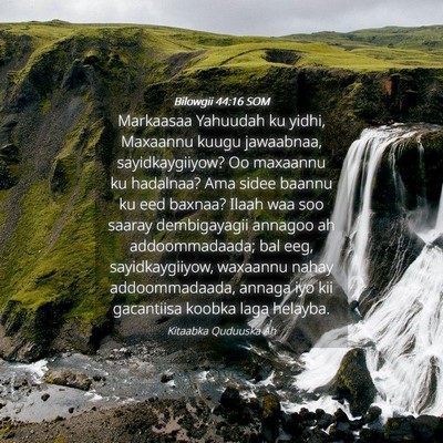 Picture 04 - Bilowgii 44:16 SOM - Markaasaa Yahuudah ku yidhi, Maxaannu kuugu - Bible Verse Picture
