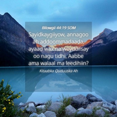 Picture 04 - Bilowgii 44:19 SOM - Sayidkaygiiyow, annagoo ah addoommadaada, ayaad - Bible Verse Picture