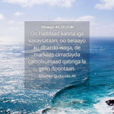 Picture 04 - Bilowgii 44:29 SOM - Oo haddaad kanna iga kaxaysataan, oo belaayo ku - Bible Verse Picture