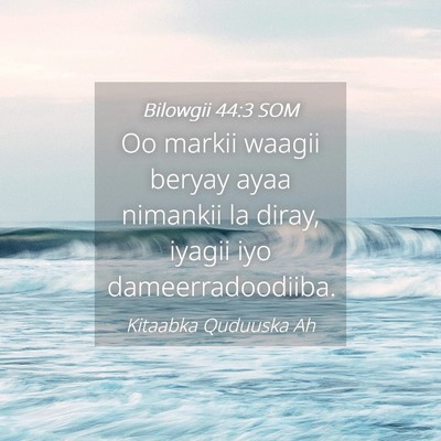Picture 04 - Bilowgii 44:3 SOM - Oo markii waagii beryay ayaa nimankii la diray, - Bible Verse Picture