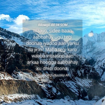 Picture 04 - Bilowgii 44:34 SOM - Waayo, sidee baan aabbahay ugu tegi doonaa iyadoo - Bible Verse Picture