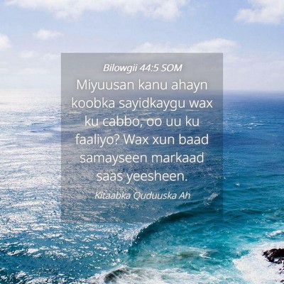 Picture 04 - Bilowgii 44:5 SOM - Miyuusan kanu ahayn koobka sayidkaygu wax ku - Bible Verse Picture